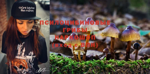 мяу мяу мука Алексеевка