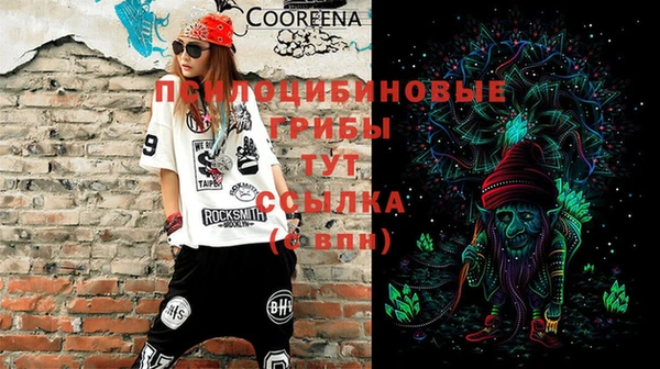 дурь Алексин