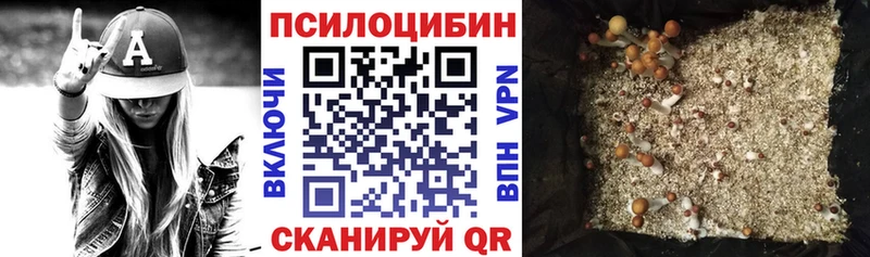 Галлюциногенные грибы Cubensis  Лермонтов 